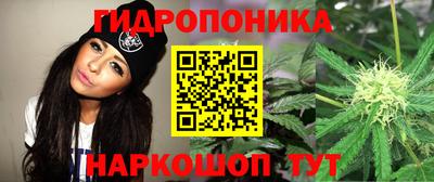 эйфоретик Бийск